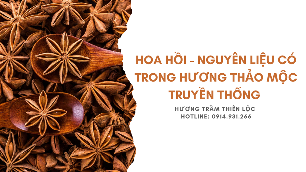 Hoa hồi có trong nguyên liệu Hương thảo mộc truyền thống