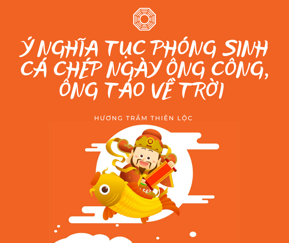 Ý nghĩa tục phóng sinh cá chép ngày tết ông công ông táo về trời 