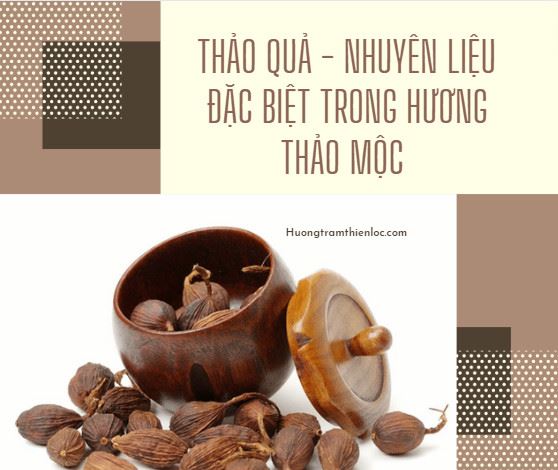 Thảo Quả nguyên liệu đặc biệt, mùi thơm của Hương Thảo Mộc